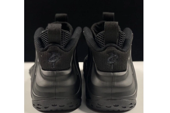 Nike Foamposite One Air 314996-001 Anthracite 1005